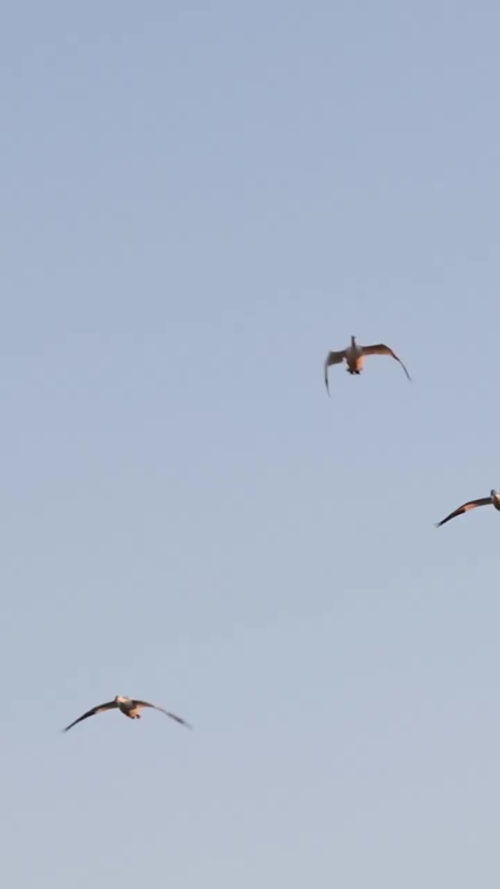 Video post from northernskiesoutfitters.