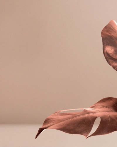 Photo post from kinkbynaturekbn.