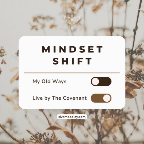 Photo post from drsivamm.