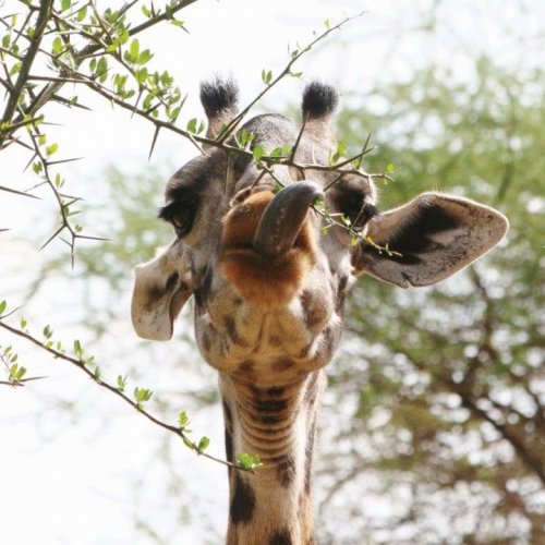 Photo post from taucktravel.