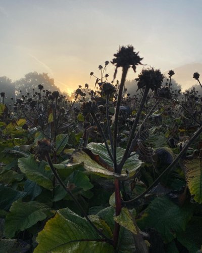 Photo post from sussexprairies.