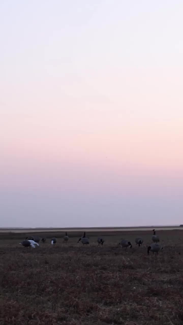 Video post from northernskiesoutfitters.