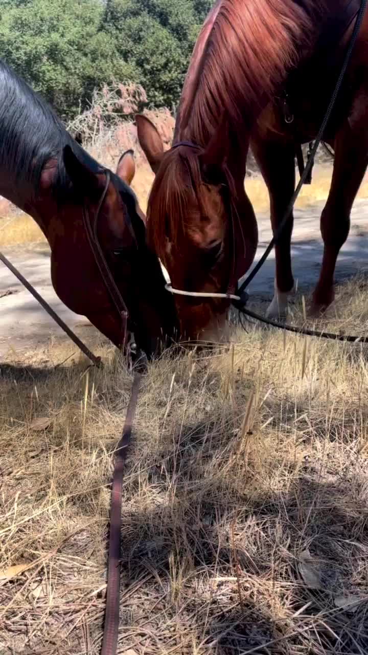 Video post from __amber_lydic__.