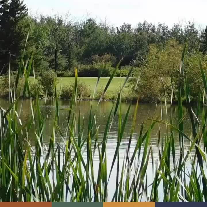 Video post from golfviewcommunities.