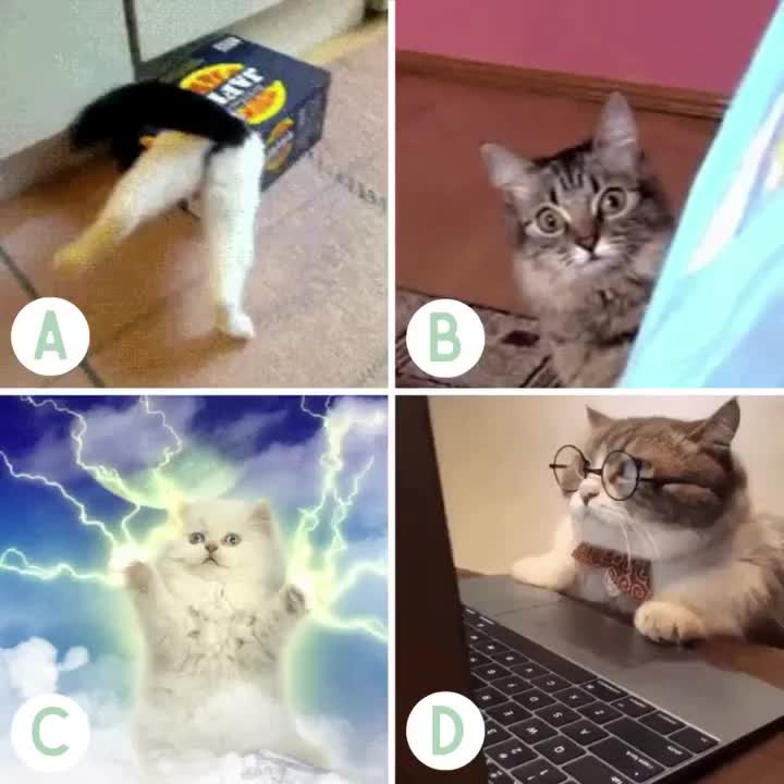 Video post from glowsocial.uk.