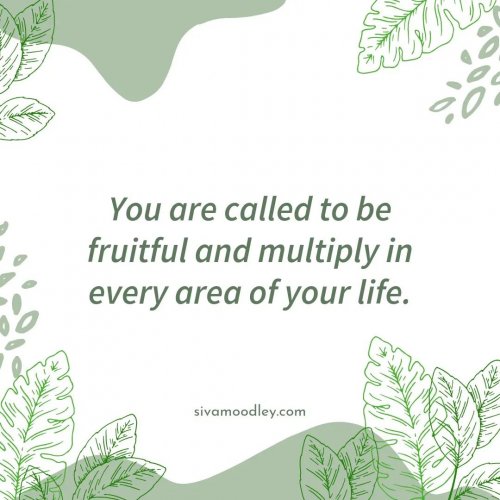 Photo post from drsivamm.