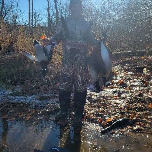 Carousel post from reddogguideservice.