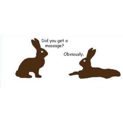 Photo post from bodyharmonie_marrickville.