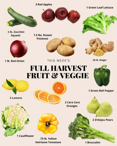 Photo post from farmbox_arizona.