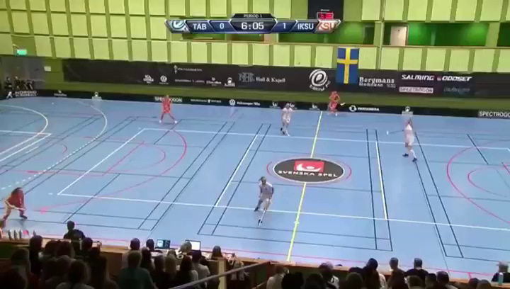 Video post from kauppitwins.