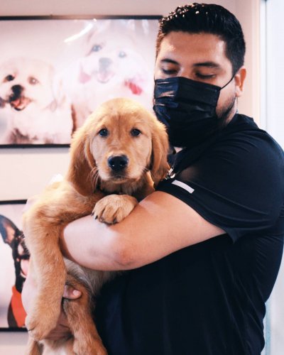 Photo post from medicalpettj.