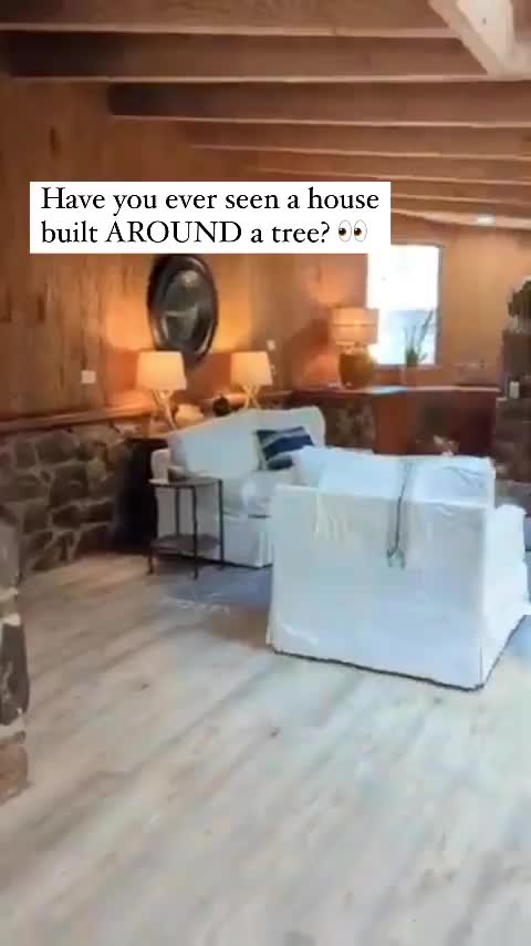 Video post from theadelpourgroup.