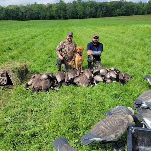 Carousel post from reddogguideservice.