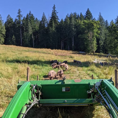 Photo post from hungryhollowfarm.