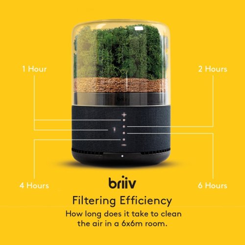 Photo post from briiv.natural.