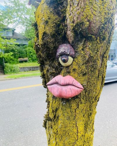 Photo post from travelportland.