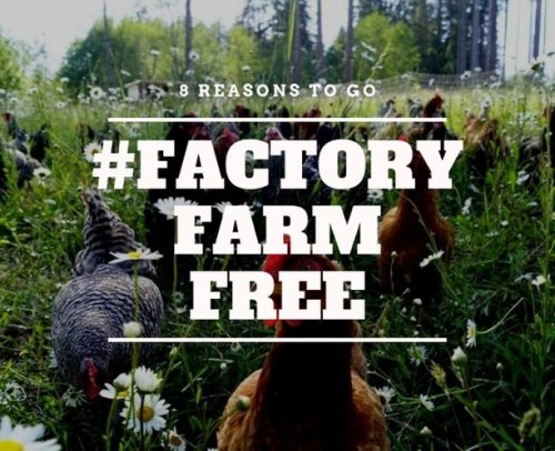 Photo post from hungryhollowfarm.