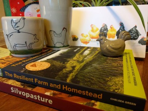 Photo post from hungryhollowfarm.