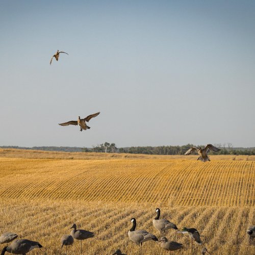 Photo post from northernskiesoutfitters.