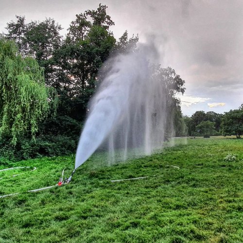 Photo post from ff_stellingen.