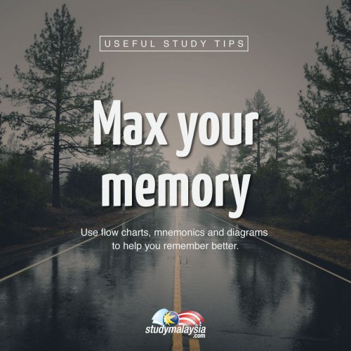 Photo post from studymsia.