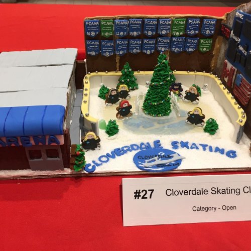 Carousel post from cloverdale_skating_club.