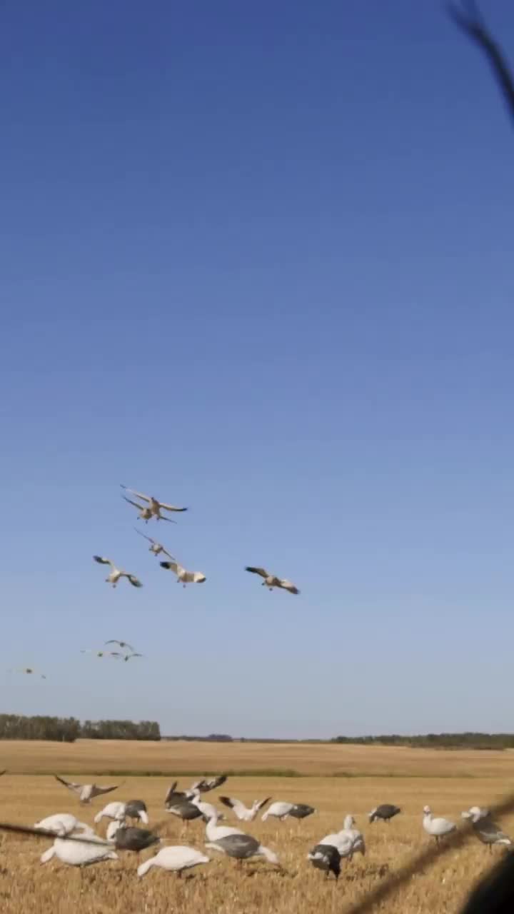 Video post from northernskiesoutfitters.