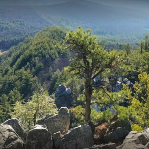 Photo post from hotelonnorth.