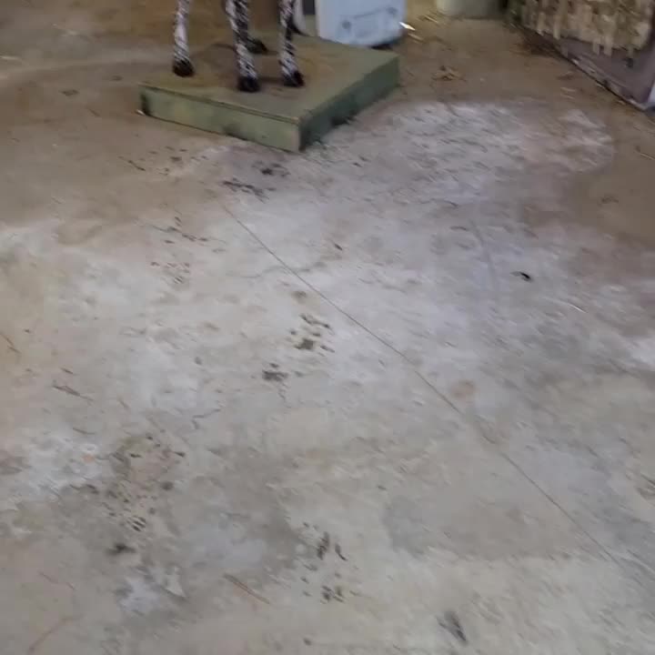 Video post from reddogguideservice.