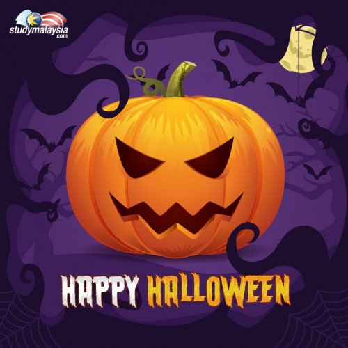 Photo post from studymsia.