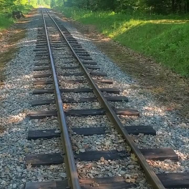 Video post from reddogguideservice.
