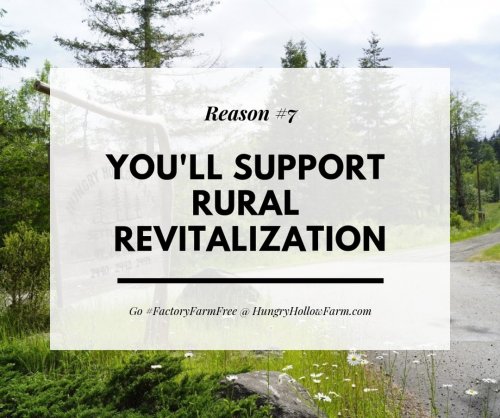 Photo post from hungryhollowfarm.