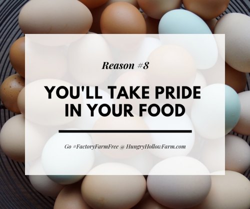 Photo post from hungryhollowfarm.