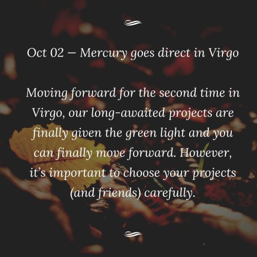 Photo post from wildwitchesmagic.
