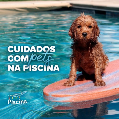 Photo post from cooperativadapiscina.