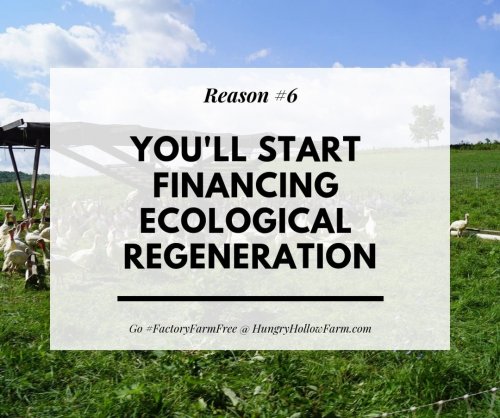 Photo post from hungryhollowfarm.