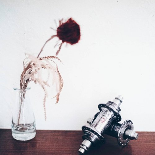 Photo post from slowspinsociety.