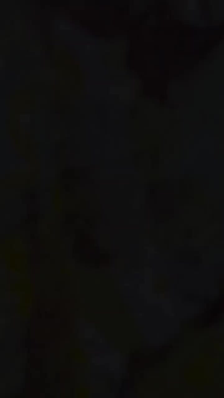 Video post from vitrendz_chennai.
