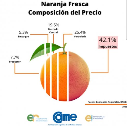 Photo post from damiandipace.