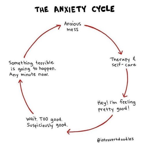 Photo post from bodyharmonie_marrickville.