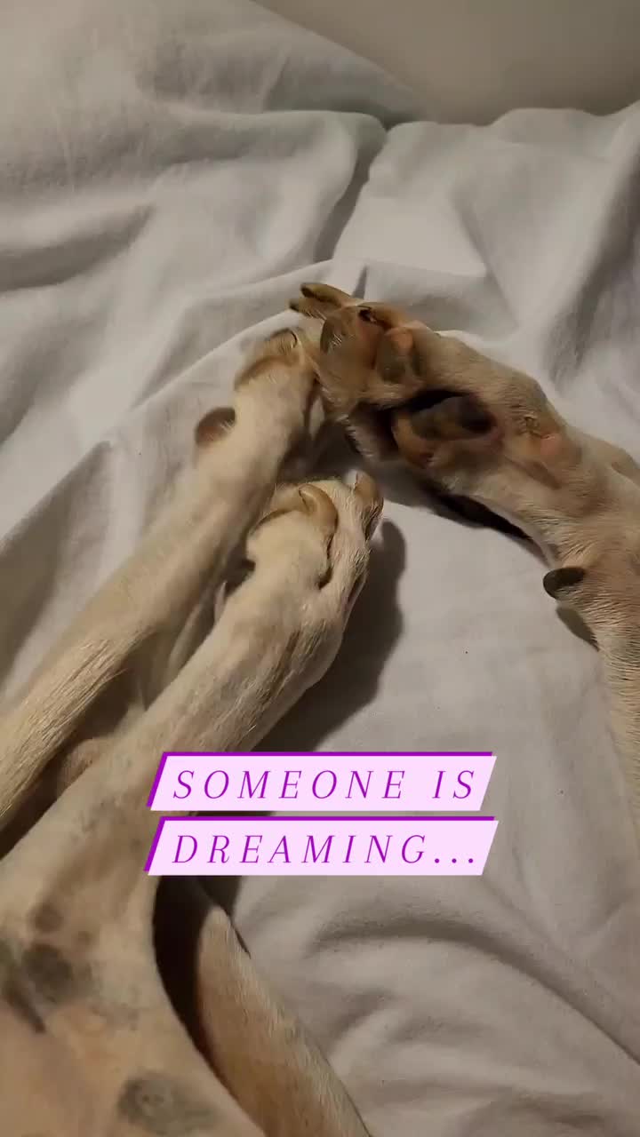 Video post from caveofpixels.