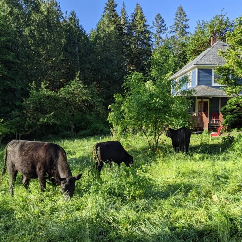 Photo post from hungryhollowfarm.