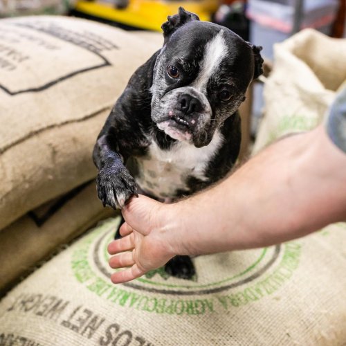 Photo post from muddywaterscoffeecompany.