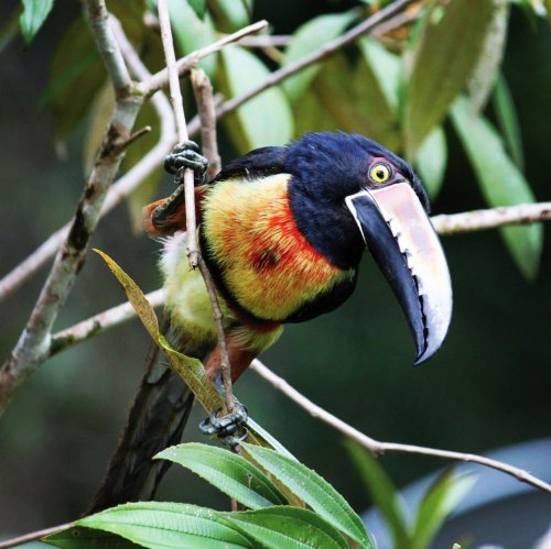 Carousel post from taucktravel.