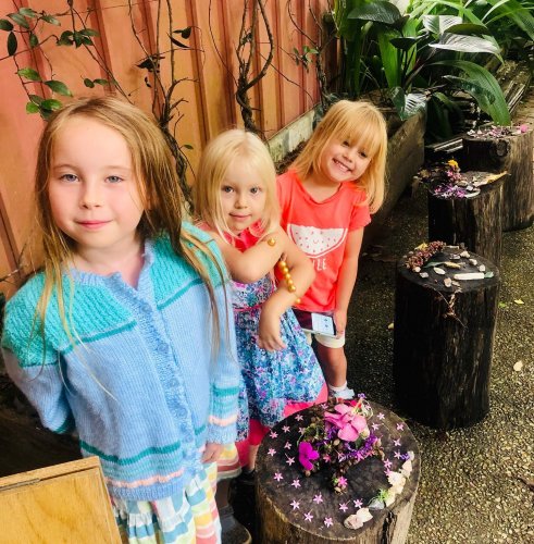 Photo post from currumbinvalleyharvest.