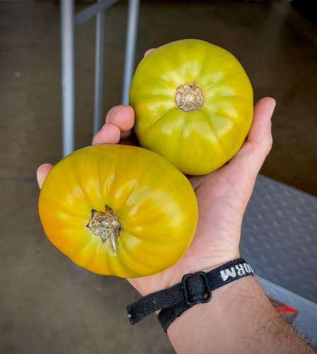 Photo post from farmbox_arizona.