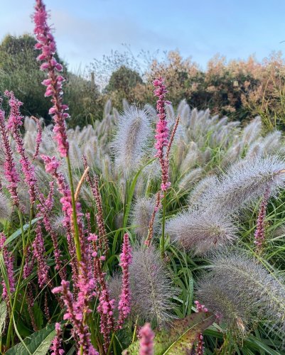 Photo post from sussexprairies.