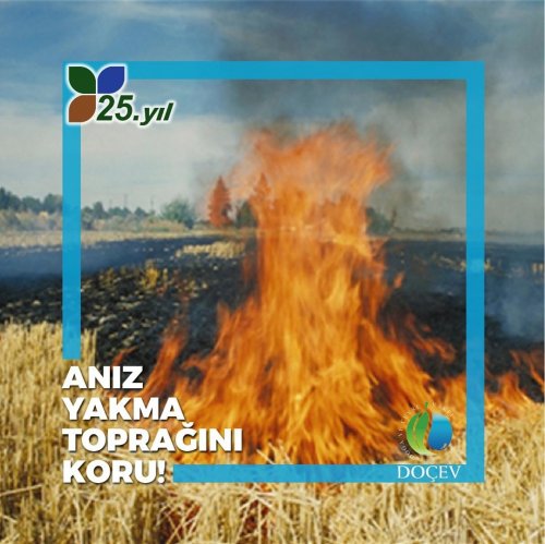 Photo post from dogavecevrevakfi.