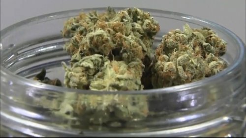 Photo post from kynorml.