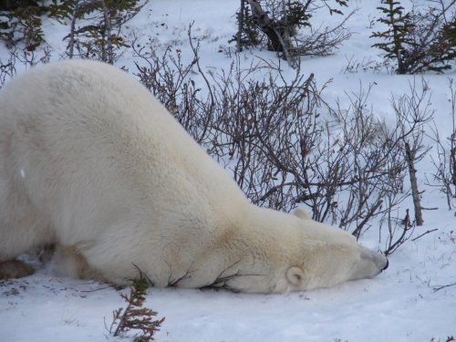 Photo post from taucktravel.